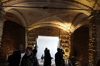 IMG_8748