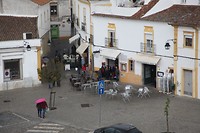 IMG_8764