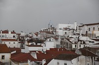 IMG_8765