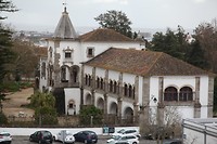 IMG_8775