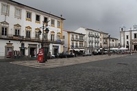 IMG_8780