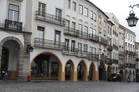 IMG_8781