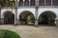 IMG_8805