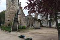 IMG_8809