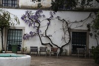 IMG_8810