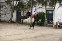 IMG_8811