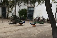 IMG_8812