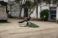 IMG_8814