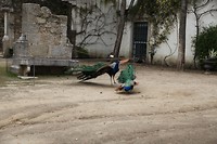 IMG_8815