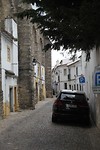 IMG_8816