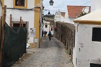 IMG_8817