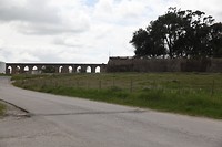 IMG_8819