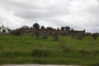 IMG_8820
