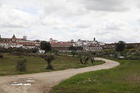 IMG_8821