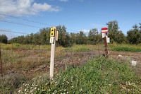 IMG_9064
