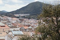 IMG_9069