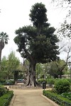 IMG_9071