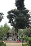 IMG_9072