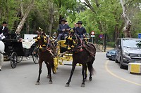 IMG_9073