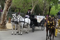 IMG_9074