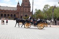 IMG_9094