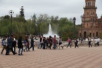 IMG_9123