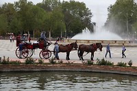 IMG_9125