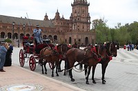 IMG_9130