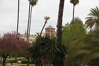 IMG_9136