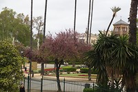 IMG_9138