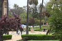 IMG_9140