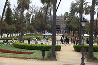 IMG_9142