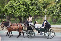 IMG_9146