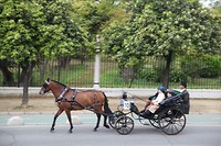 IMG_9147