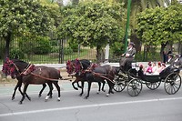 IMG_9148