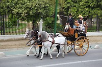 IMG_9149
