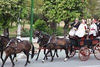 IMG_9150