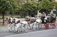 IMG_9152