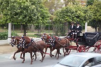 IMG_9153