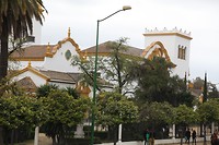 IMG_9154