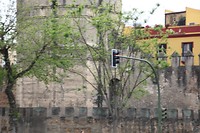 IMG_9187