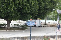 IMG_9191