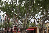 IMG_9194