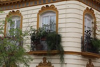 IMG_9197