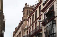 IMG_9198