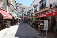IMG_9303