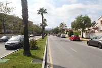 IMG_9331