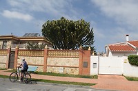 IMG_9332