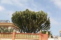 IMG_9333