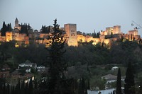 IMG_9445
